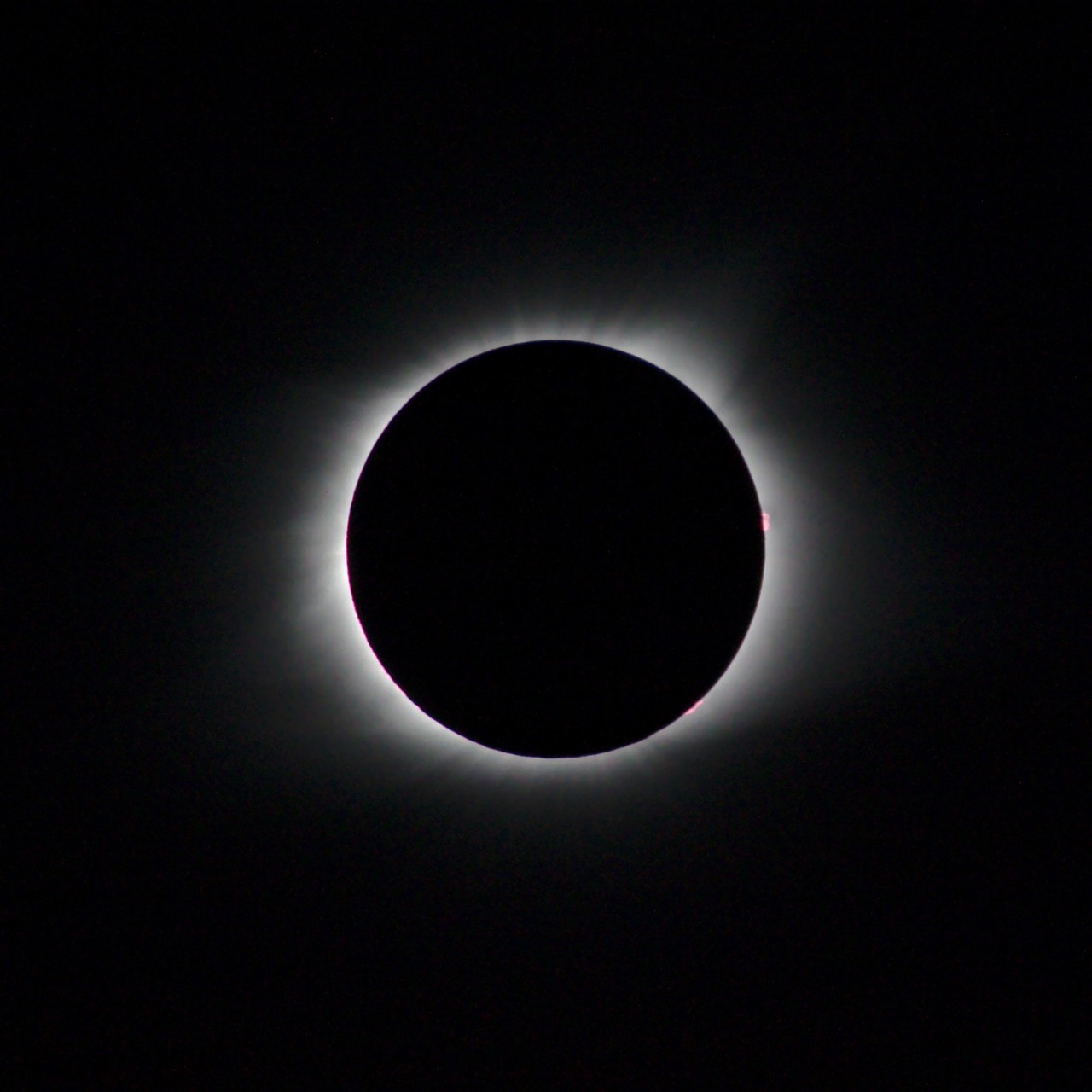 Solar Eclipse | Matthew Petroff
