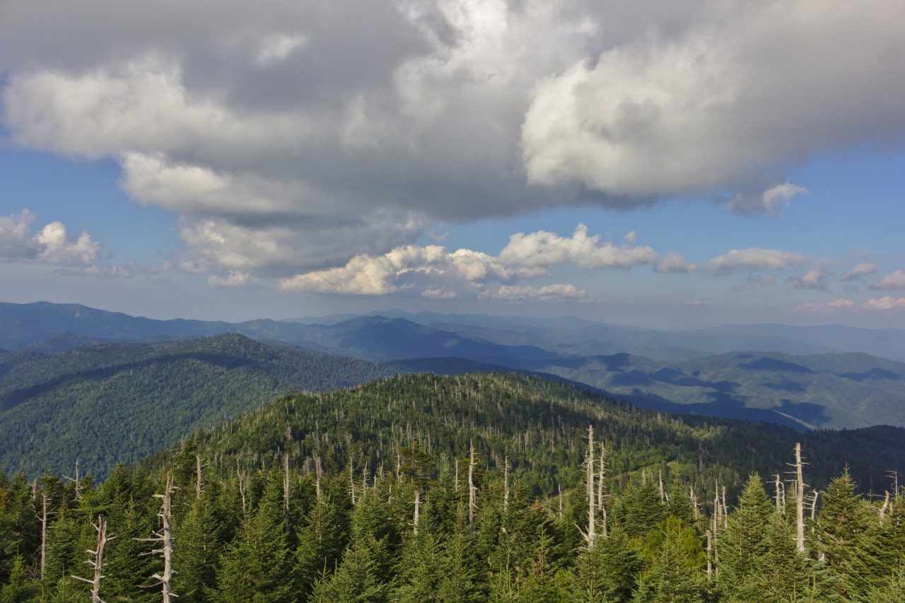 Great Smoky Mountains National Park | Matthew Petroff