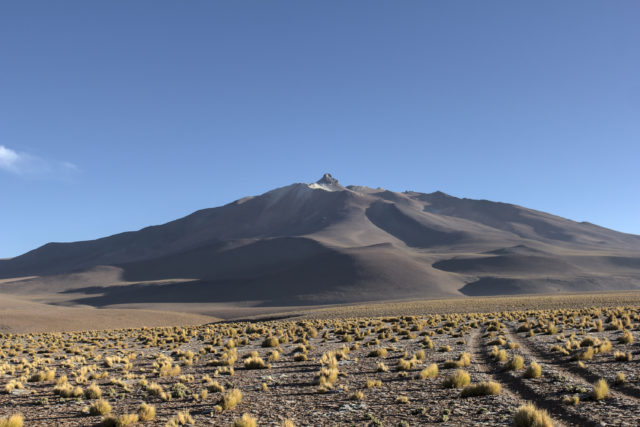 Cerro Zapaleri