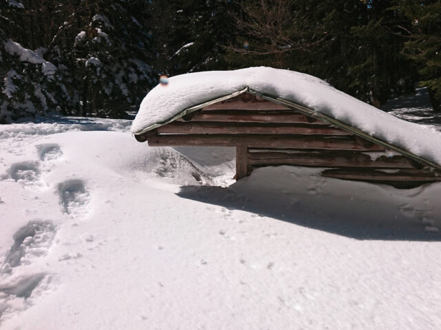 An Adirondack shelter with snow on the roof is almost completely buried in snow