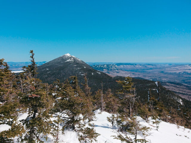 A snow-covered mountain peak is in the distance, with snow and short fir trees in the foreground